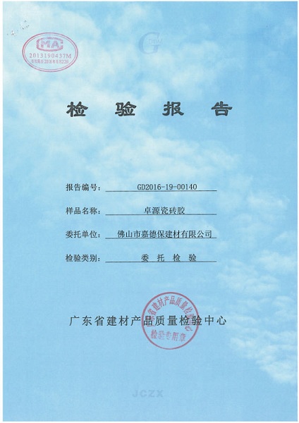 检查报告
