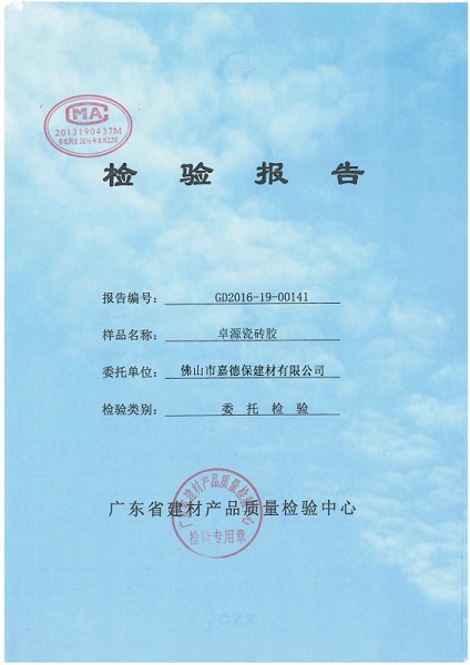 检查报告